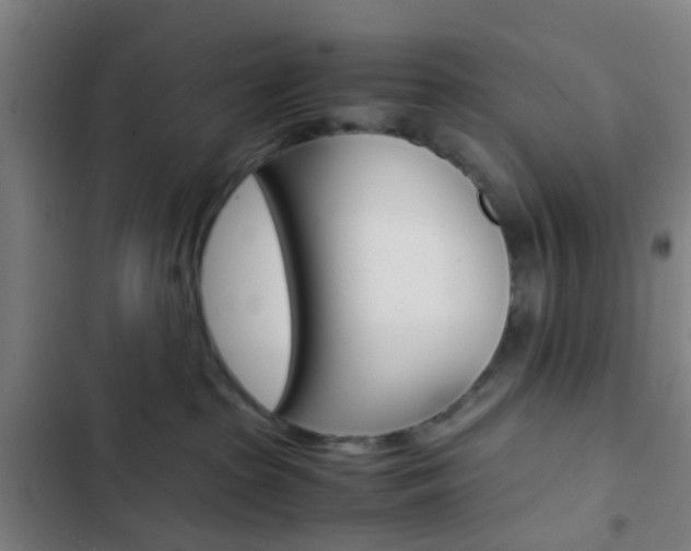 X0000103330285200809051029