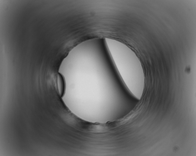 X0000103330286200809051029