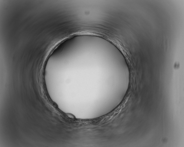 X0000103330289200809051028