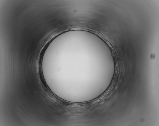 X0000103330290200809051028