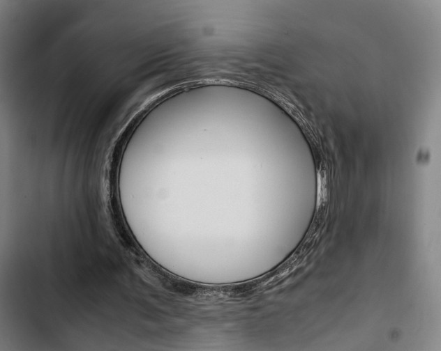 X0000103330291200809051028