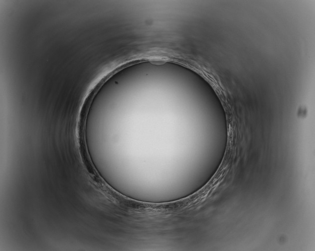 X0000103330292200809051028