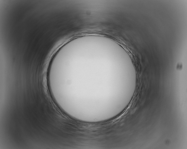 X0000103330293200809051028