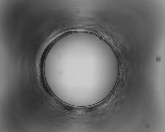 X0000103330295200809051028