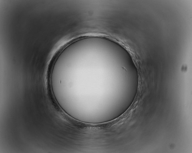 X0000103330296200809051028
