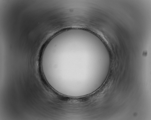 X0000103330299200809051028