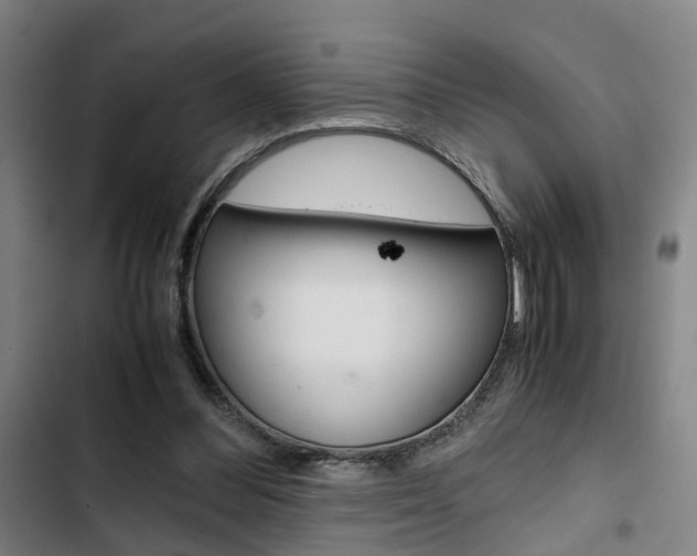 X0000103330300200809051028