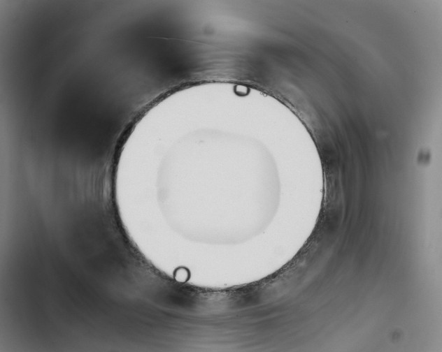 X0000103330301200809051028