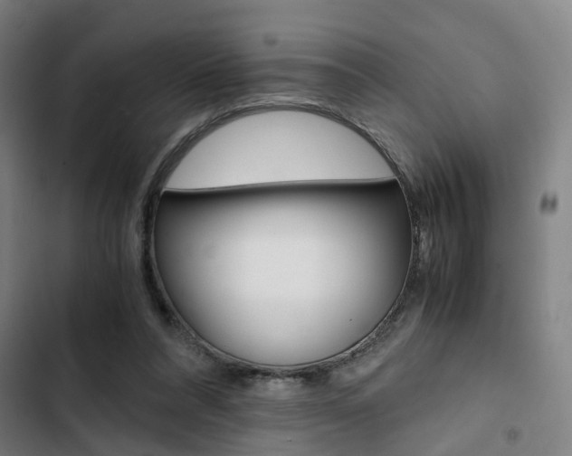 X0000103330304200809051028