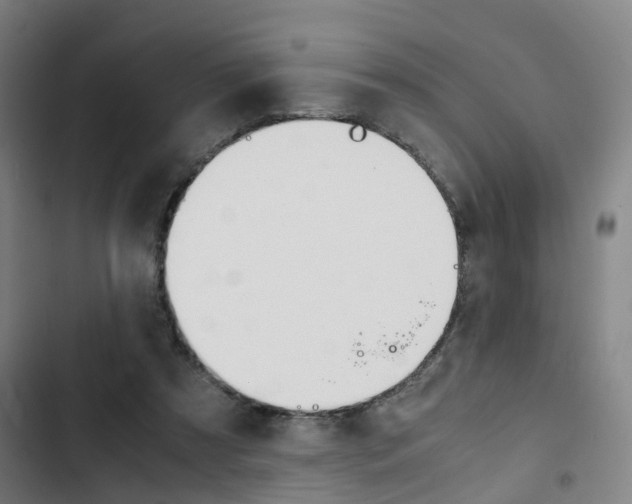 X0000103330305200809051028