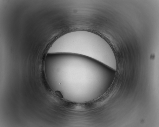 X0000103330308200809051028