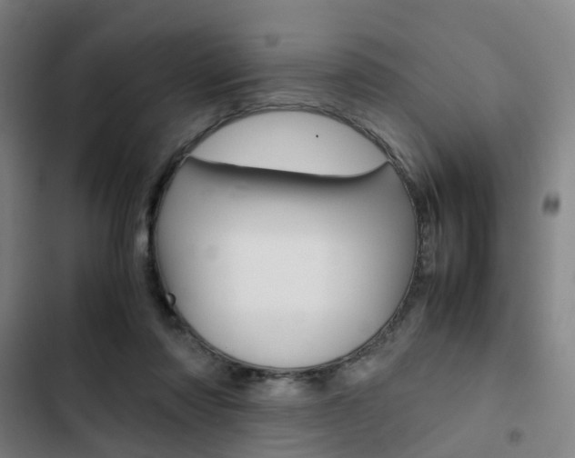X0000103330310200809051028