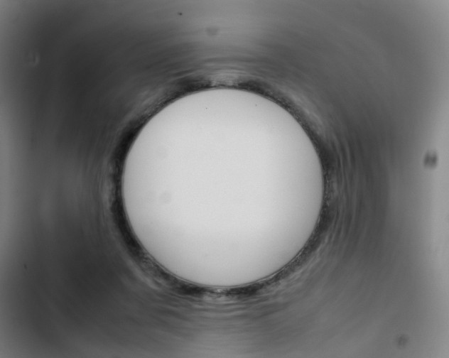 X0000103330311200809051028