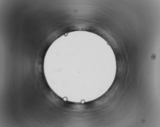 X0000103330313200809051028