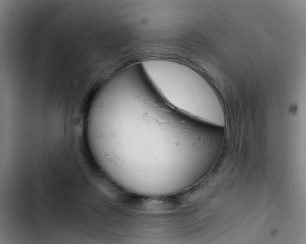 X0000103330315200809051028