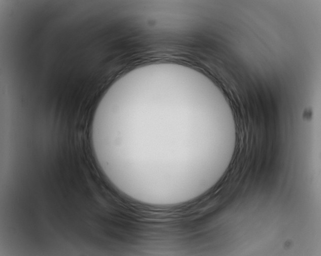 X0000103330316200809051028