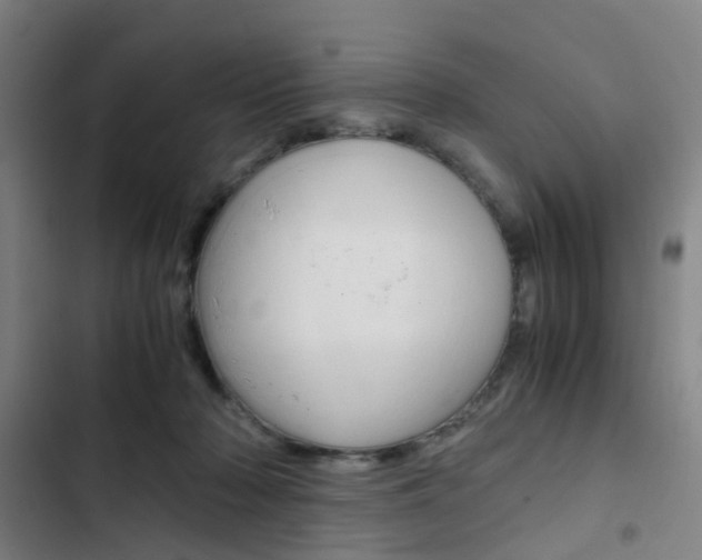 X0000103330318200809051028