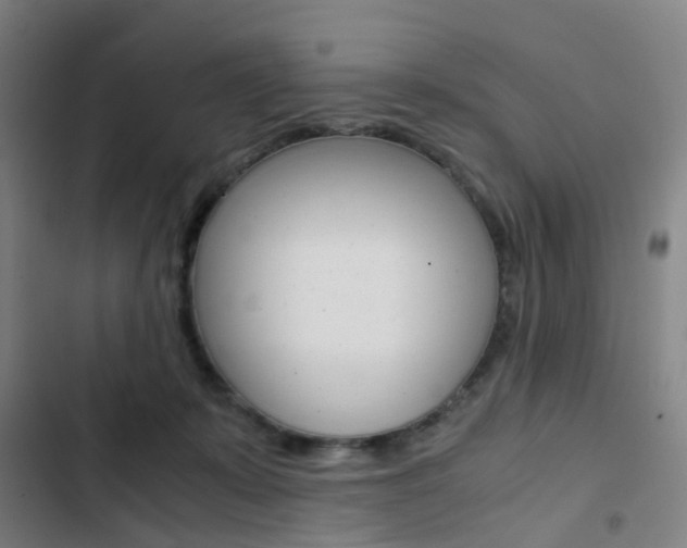 X0000103330319200809051028