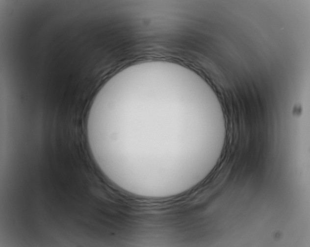 X0000103330320200809051028