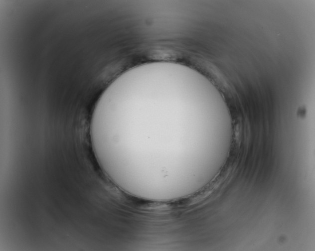 X0000103330322200809051028