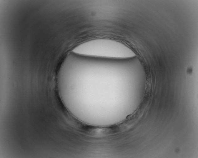 X0000103330323200809051028