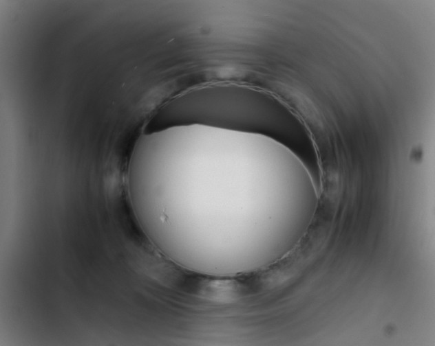 X0000103330324200809051028