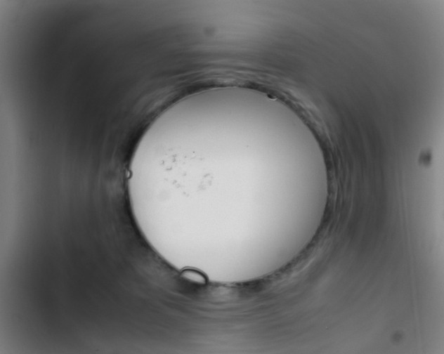 X0000103330325200809051028