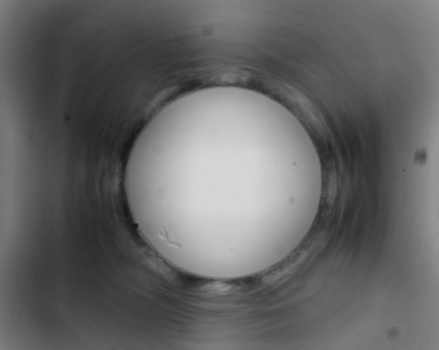 X0000103330326200809051028