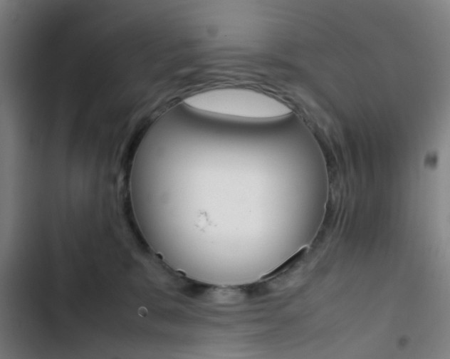 X0000103330327200809051028