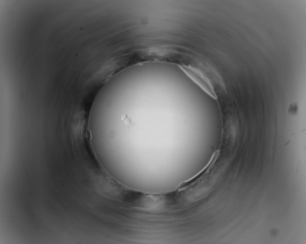 X0000103330328200809051028