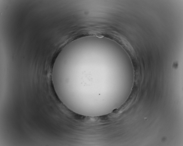 X0000103330329200809051028