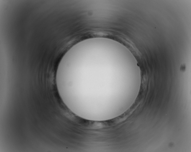 X0000103330330200809051028