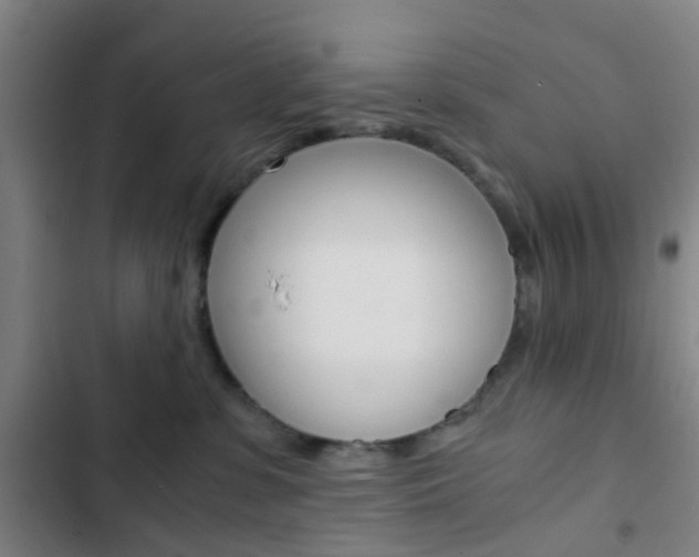 X0000103330331200809051028