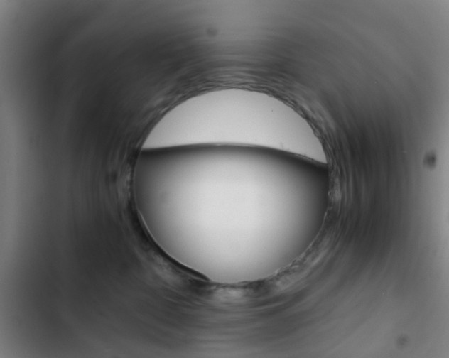 X0000103330332200809051028