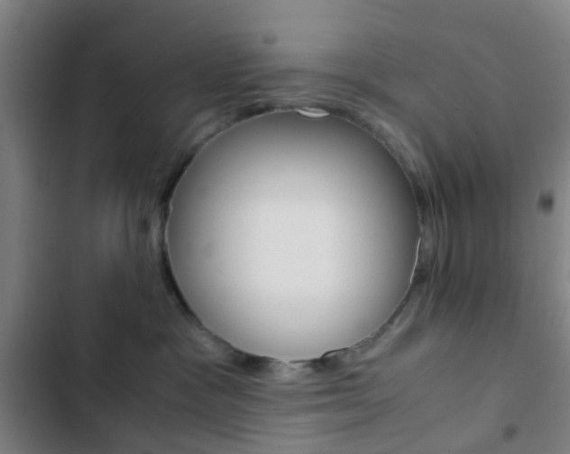 X0000103330333200809051028