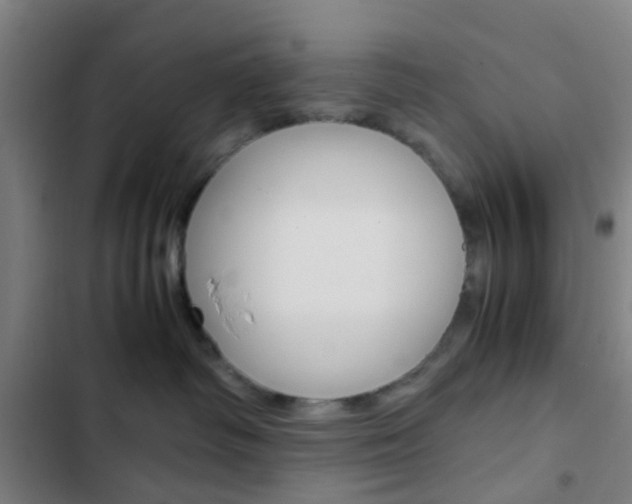 X0000103330334200809051028