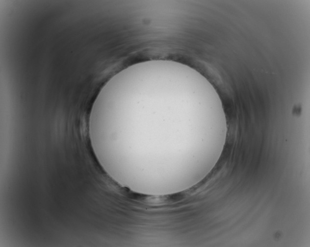 X0000103330335200809051028
