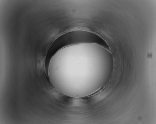 X0000103330336200809051028