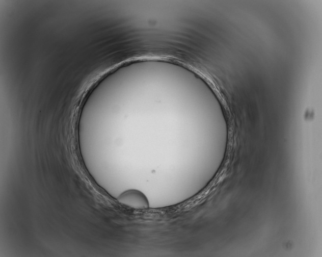 X0000103330337200809051027