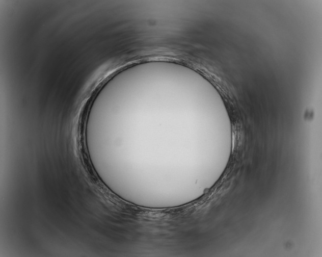 X0000103330339200809051027