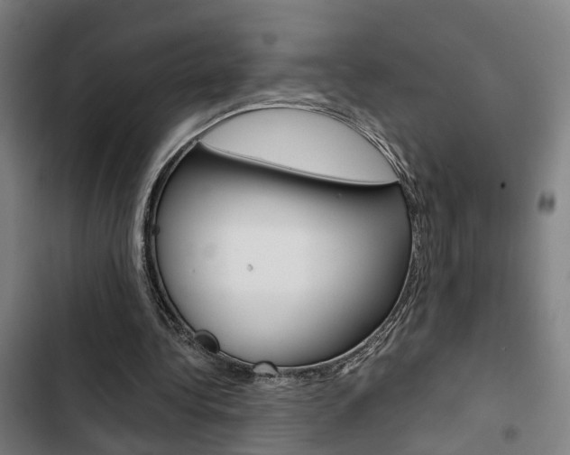 X0000103330340200809051027