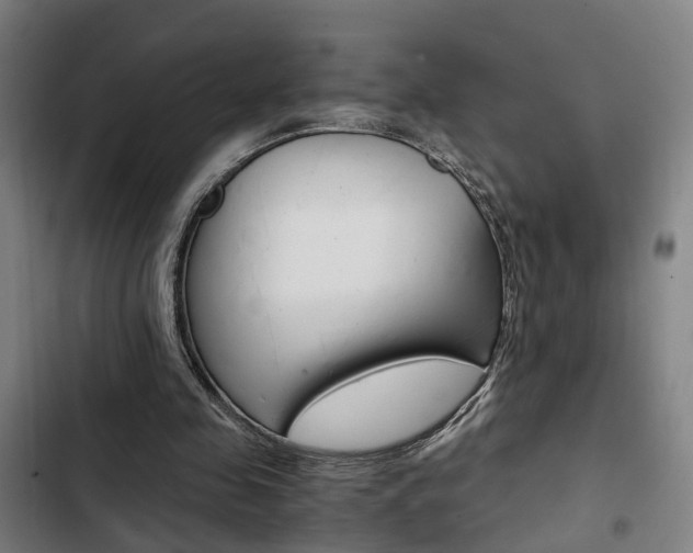 X0000103330341200809051027