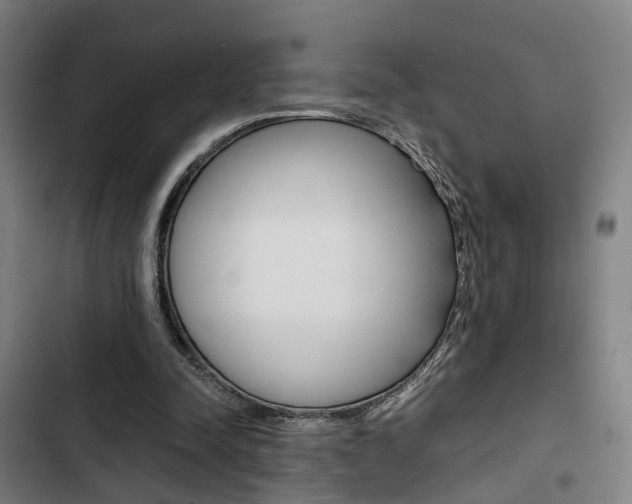 X0000103330342200809051027