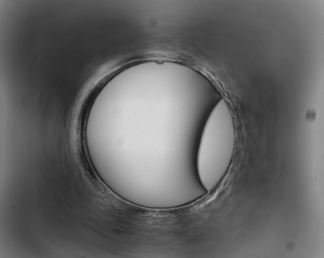 X0000103330343200809051027