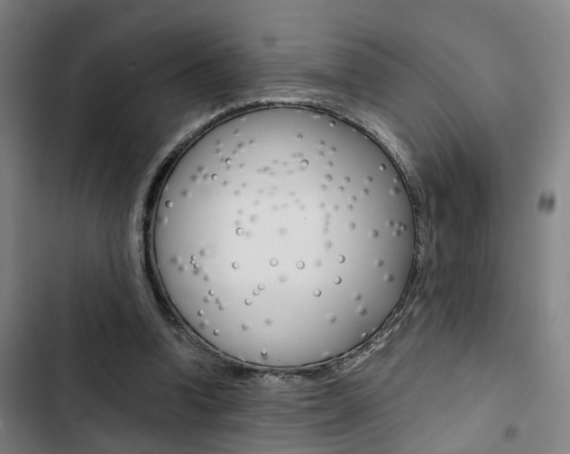 X0000103330346200809051027