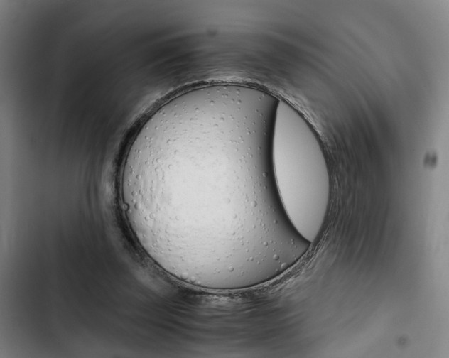 X0000103330347200809051027