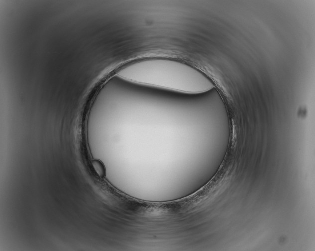 X0000103330348200809051027