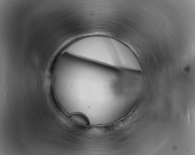 X0000103330350200809051027