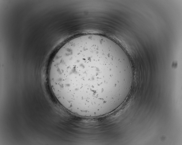 X0000103330351200809051027
