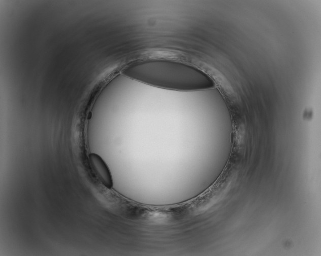 X0000103330352200809051027